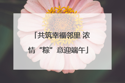 共筑幸福邻里 浓情“粽”意迎端午