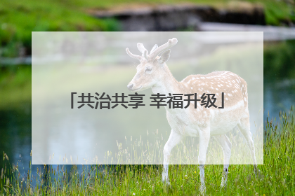 共治共享 幸福升级