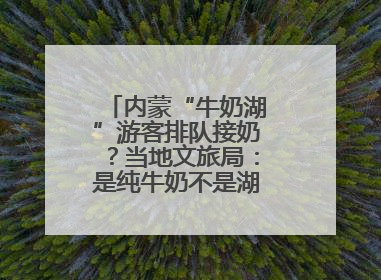 内蒙“牛奶湖”游客排队接奶？当地文旅局：是纯牛奶不是湖水，可放心喝