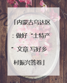 内蒙古乌达区：做好“土特产”文章 写好乡村振兴答卷