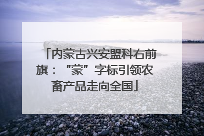 内蒙古兴安盟科右前旗：“蒙”字标引领农畜产品走向全国
