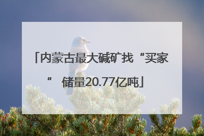 内蒙古最大碱矿找“买家” 储量20.77亿吨