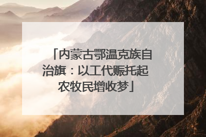 内蒙古鄂温克族自治旗：以工代赈托起农牧民增收梦