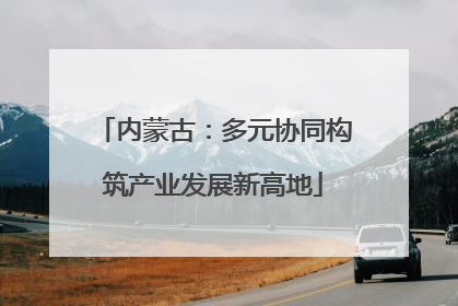 内蒙古：多元协同构筑产业发展新高地