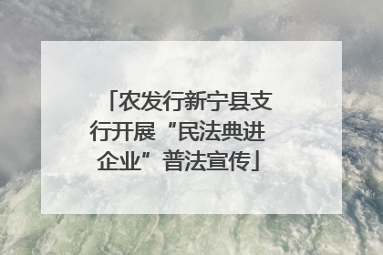 农发行新宁县支行开展“民法典进企业”普法宣传