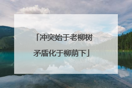 冲突始于老柳树 矛盾化于柳荫下