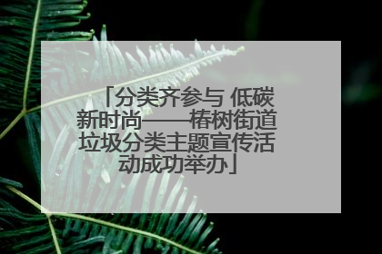 分类齐参与 低碳新时尚——椿树街道垃圾分类主题宣传活动成功举办