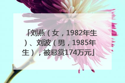 刘燕（女，1982年生）、刘波（男，1985年生），被悬赏174万元
