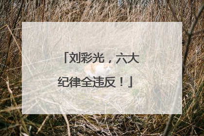 刘彩光，六大纪律全违反！