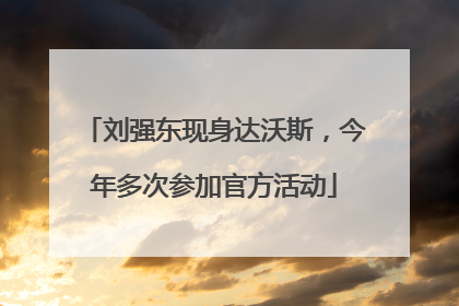 刘强东现身达沃斯，今年多次参加官方活动