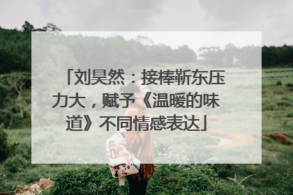 刘昊然：接棒靳东压力大，赋予《温暖的味道》不同情感表达