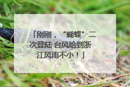 刚刚，“蝴蝶”二次登陆 台风给到浙江风雨不小！