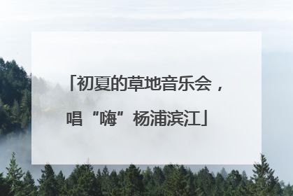 初夏的草地音乐会，唱“嗨”杨浦滨江