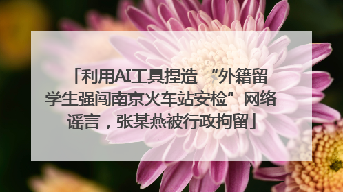 利用AI工具捏造 “外籍留学生强闯南京火车站安检”网络谣言，张某燕被行政拘留