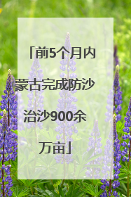 前5个月内蒙古完成防沙治沙900余万亩