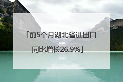 前5个月湖北省进出口同比增长26.9%