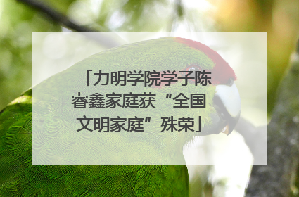 力明学院学子陈睿鑫家庭获“全国文明家庭”殊荣
