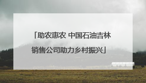 助农惠农 中国石油吉林销售公司助力乡村振兴