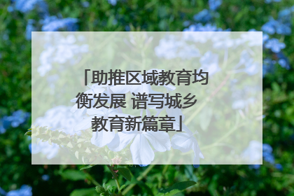 助推区域教育均衡发展 谱写城乡教育新篇章