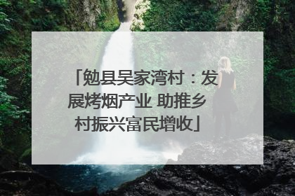 勉县吴家湾村：发展烤烟产业 助推乡村振兴富民增收