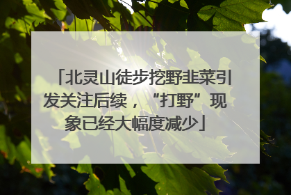 北灵山徒步挖野韭菜引发关注后续，“打野”现象已经大幅度减少