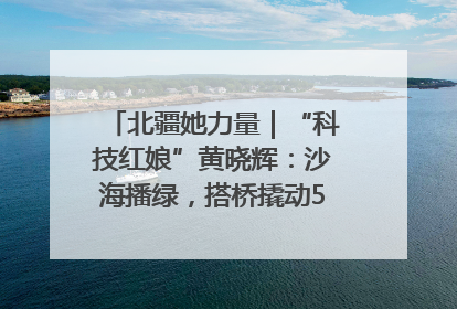 北疆她力量｜“科技红娘”黄晓辉：沙海播绿，搭桥撬动5.3亿研发