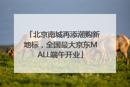 北京南城再添潮购新地标，全国最大京东MALL端午开业