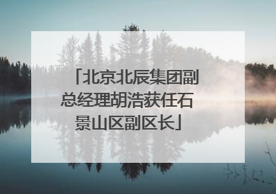 北京北辰集团副总经理胡浩获任石景山区副区长