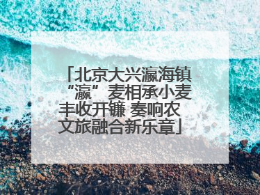 北京大兴瀛海镇“瀛”麦相承小麦丰收开镰 奏响农文旅融合新乐章