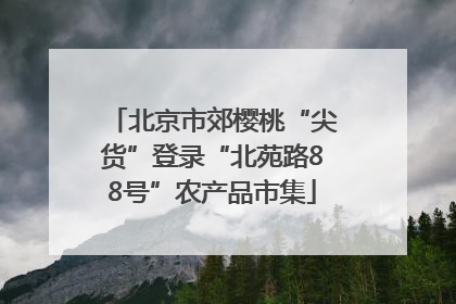 北京市郊樱桃“尖货”登录“北苑路88号”农产品市集