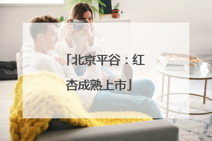 北京平谷：红杏成熟上市