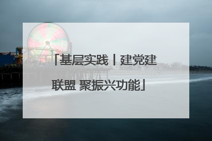 基层实践丨建党建联盟 聚振兴功能