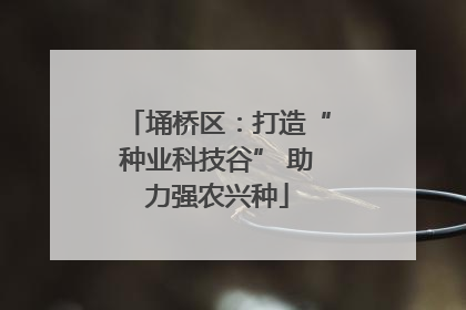 埇桥区：打造“种业科技谷” 助力强农兴种