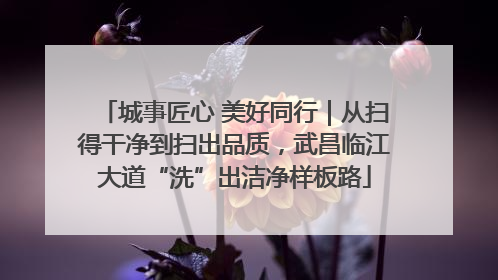 城事匠心 美好同行｜从扫得干净到扫出品质，武昌临江大道“洗”出洁净样板路