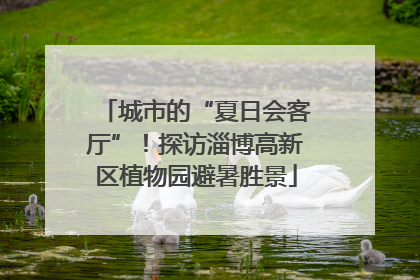 城市的“夏日会客厅”！探访淄博高新区植物园避暑胜景
