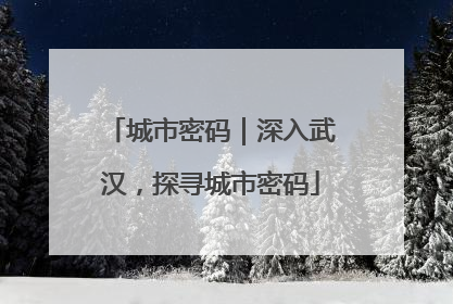 城市密码｜深入武汉，探寻城市密码