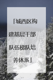城西区构建基层干部队伍梯队培养体系