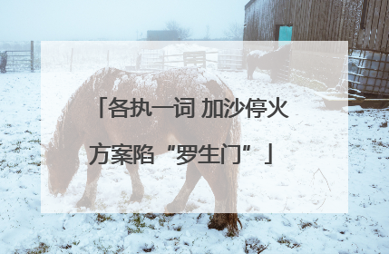 各执一词 加沙停火方案陷“罗生门”