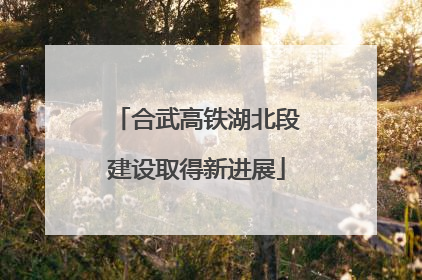 合武高铁湖北段建设取得新进展