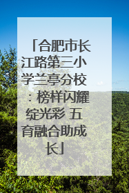 合肥市长江路第三小学兰亭分校：榜样闪耀绽光彩 五育融合助成长
