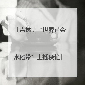 吉林：“世界黄金水稻带”上插秧忙