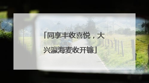 同享丰收喜悦，大兴瀛海麦收开镰