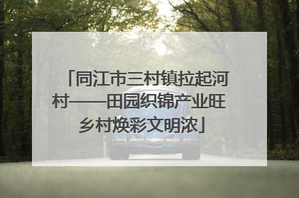 同江市三村镇拉起河村——田园织锦产业旺 乡村焕彩文明浓