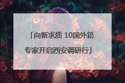 向新求质 10国外籍专家开启西安调研行