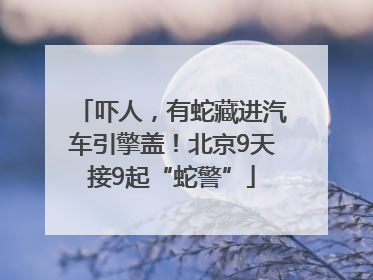 吓人，有蛇藏进汽车引擎盖！北京9天接9起“蛇警”
