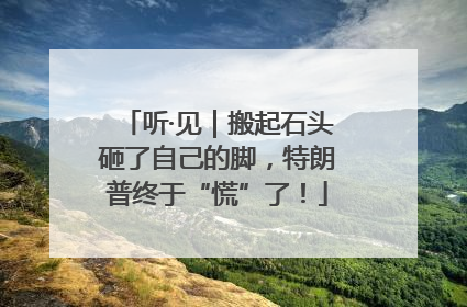 听·见｜搬起石头砸了自己的脚，特朗普终于“慌”了！