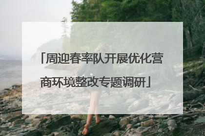 周迎春率队开展优化营商环境整改专题调研