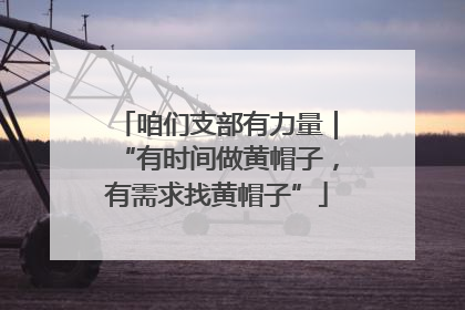 咱们支部有力量｜“有时间做黄帽子，有需求找黄帽子”
