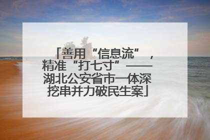 善用“信息流”，精准“打七寸”——湖北公安省市一体深挖串并力破民生案