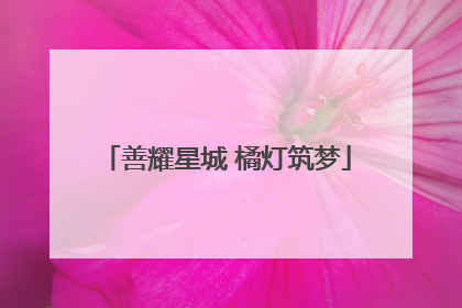 善耀星城 橘灯筑梦